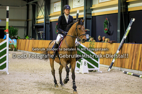 Jumping Indoor Leunen Paarden 130cm 06-01-23