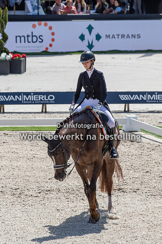 Thalia Rockx - Golden Dancer de la Fazenda