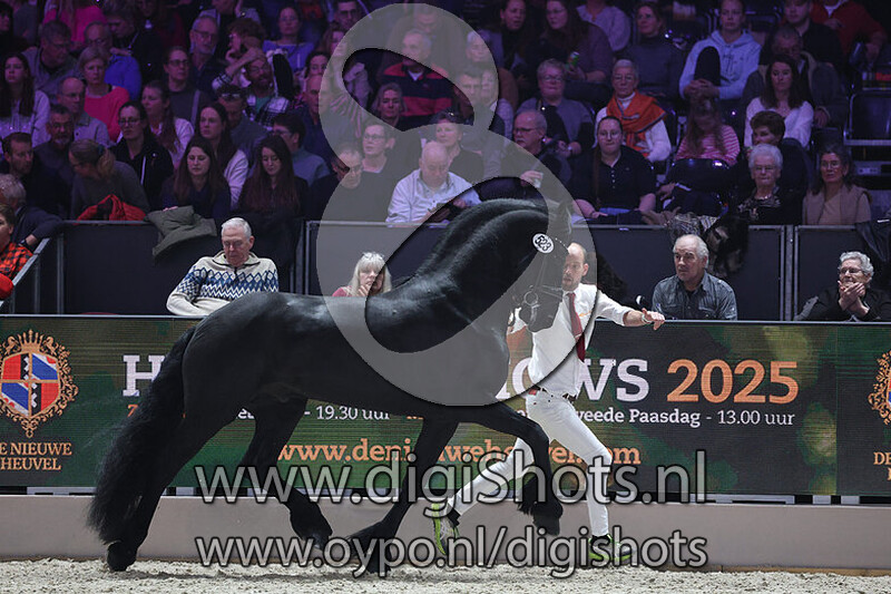 Faust 523 v. Maurits 437