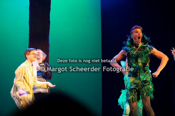 10. Ontmoeting Peter Pan 2