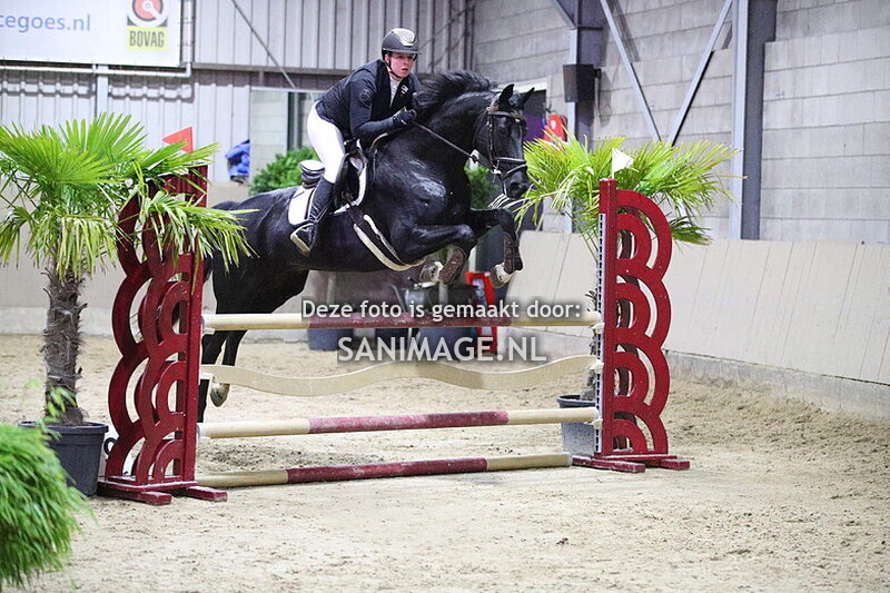 Zilfia's Hoeve Springen Paarden 26-10-2025 60 t/m 100 cm