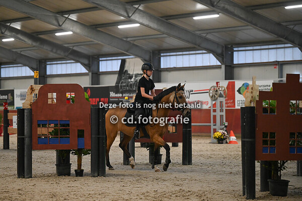 Zadelrubriek Pony (18 okt)