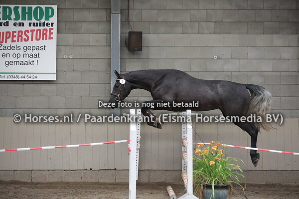 5 Moonlight (High Shutterfly x Inemone v. Peppermill)