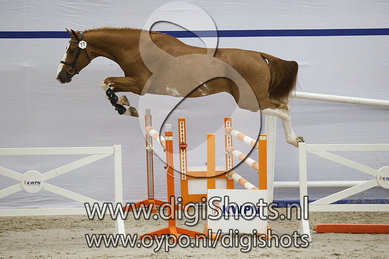 Elias Grandia Z v. Emerald van 't Ruytershof