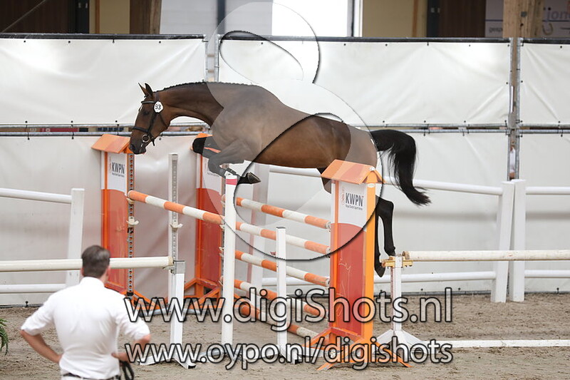 Karbella v. Marius Claudius