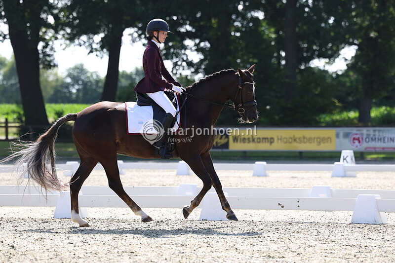 51_HAAKSBERGEN_PONYDRESSUUR_28JUNI2025