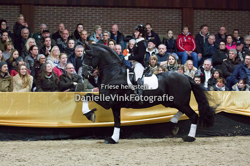 Hengstenshow Lunteren 24-02-2018 Wolfert 467
