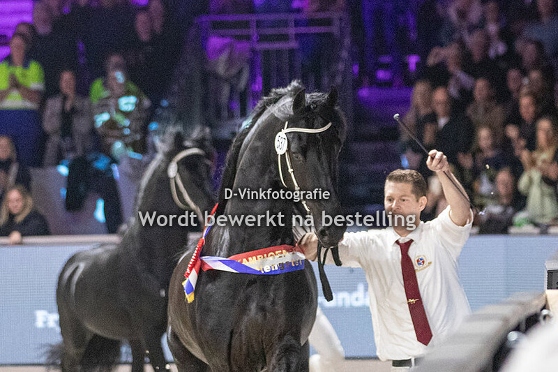 Rubriek 8 hengsten dekseizoen 2024