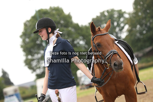 Lottum Dressuur Ponies