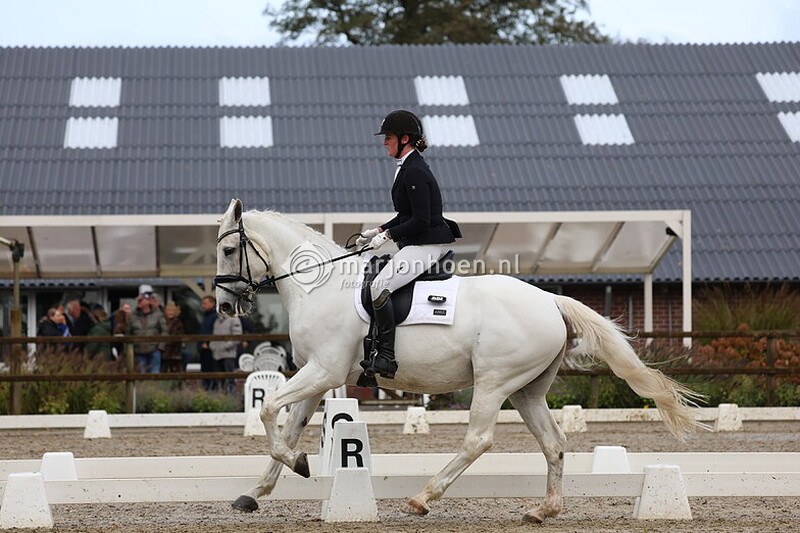 5000_HAAKSBERGEN_dressuur_26-10-2025