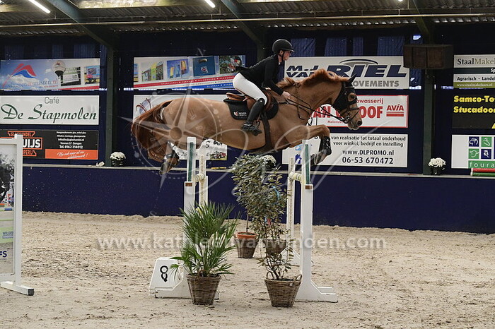 Noelle van der Velde - Haricot Verts