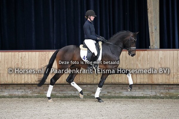 06-05-2021 actiefoto's Dresuurhengsten KWPN VO