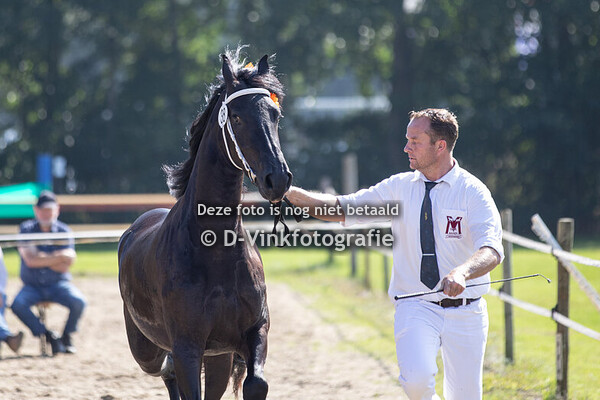 38. Smaragd van Zomerstaete