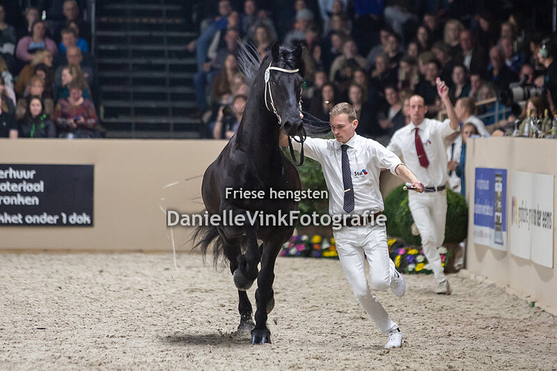 Hengstenkeuring 2020 Yme 507