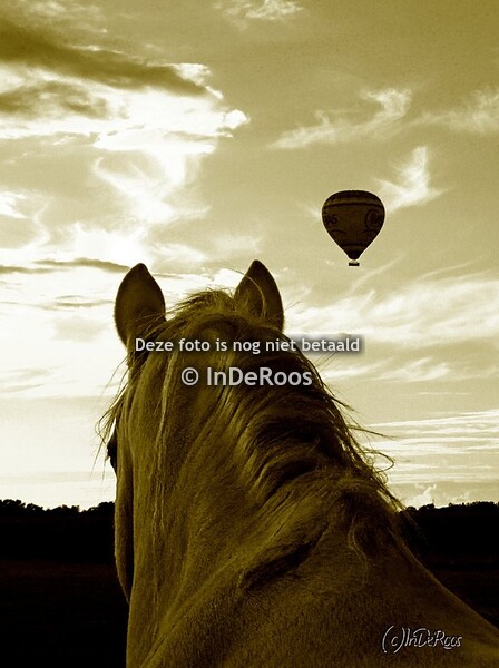 "Natuurlijk" rouwen, creaties voor medeleven en rouw