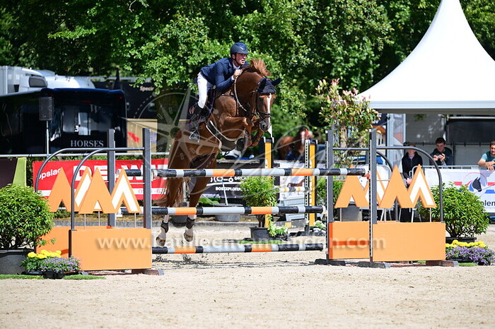 Boy Peels - Rosse Flor v.d. Elzenakker