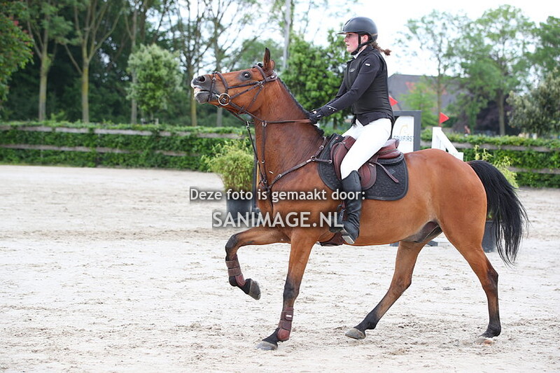 Zilfia's Hoeve springen Pony's 19-05-2024 80 cm