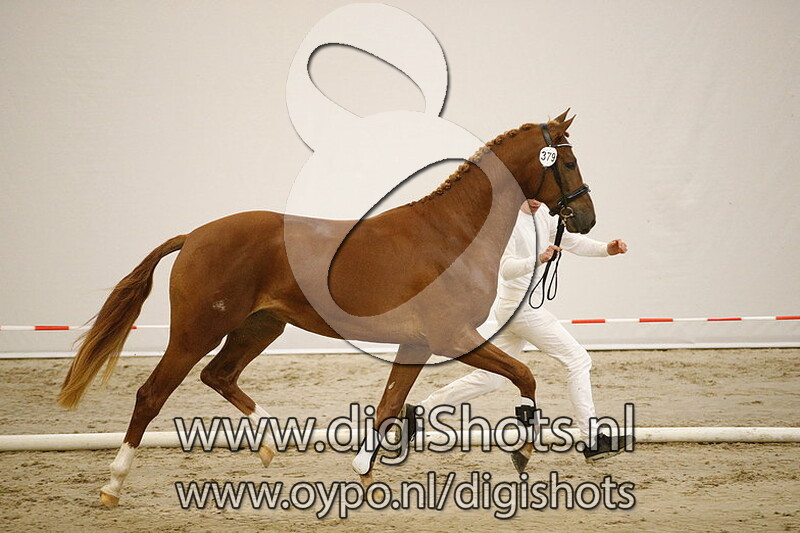 379 Lex VOD v. Eye Catcher