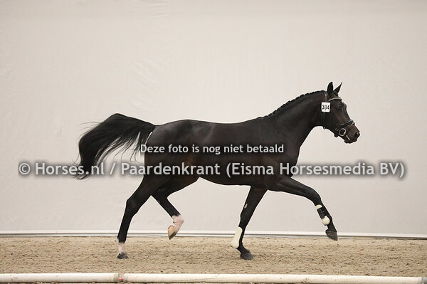 384 Ferdinand x Ferro