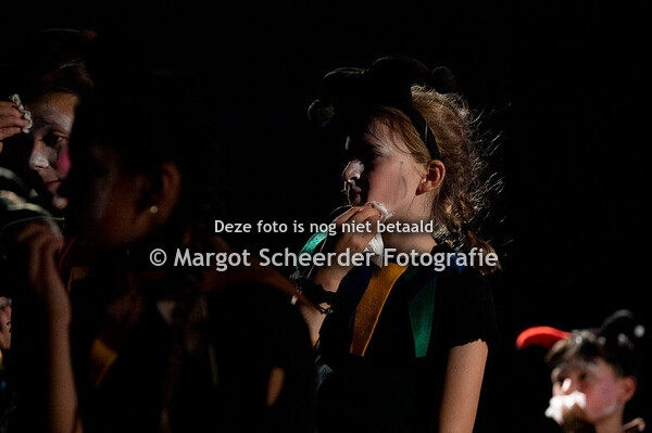 12. De Narren – Het Lied van de Narren