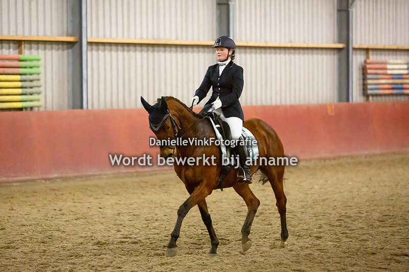 12. Klasse Z2 paard