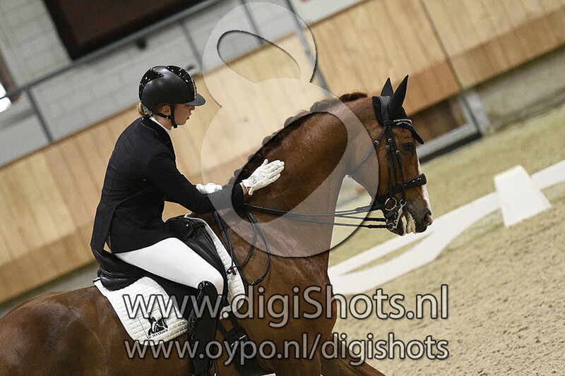 De Haarhof Gavaristo