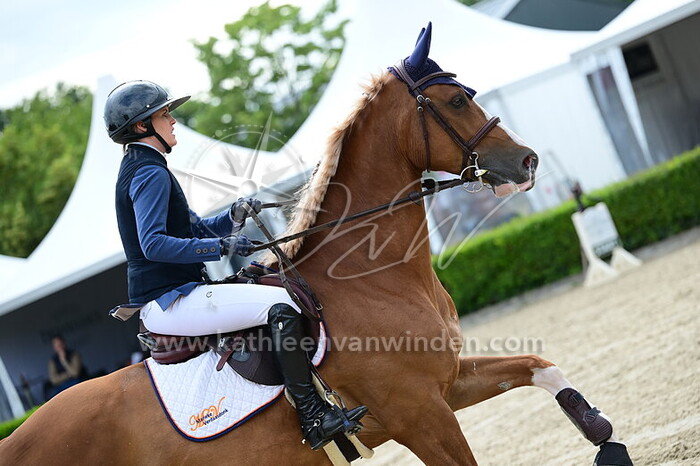 Marieke Verdaasdonk - McCloud