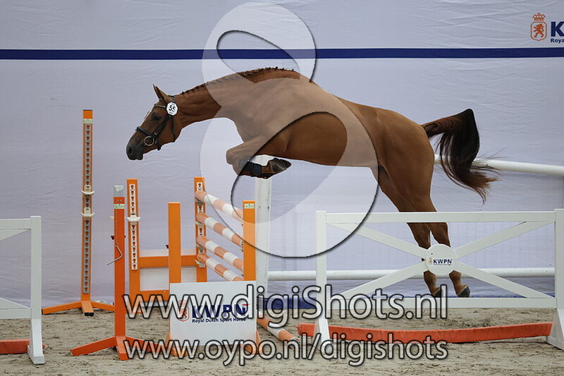 Sanna Maika VDL v. Arezzo VDL