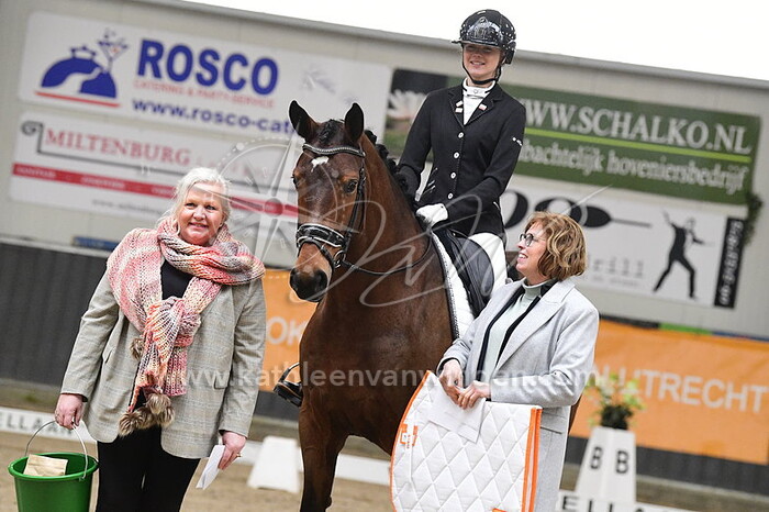 Senna Hofmann - Modansa B