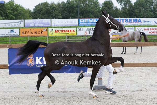 039 - SIMONDRA GSM NEON GSM X PRONKJUWEEL J.T. SEINEN, PUNTHORST