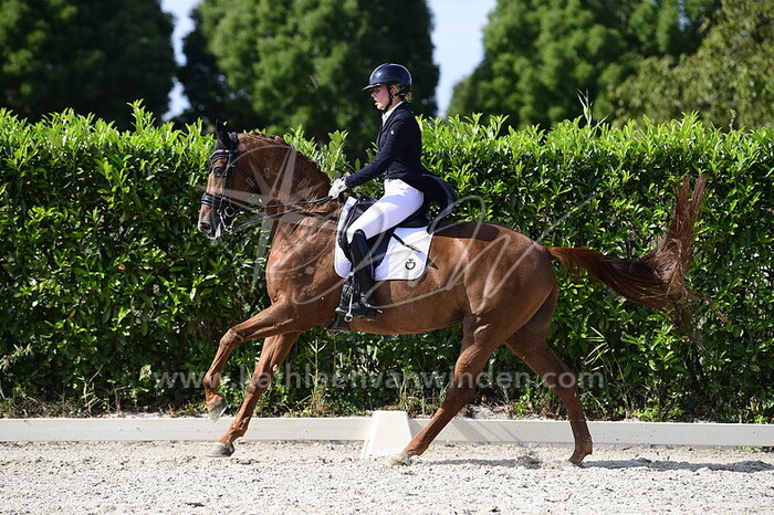 Tooske van der Ven - Hastrade K