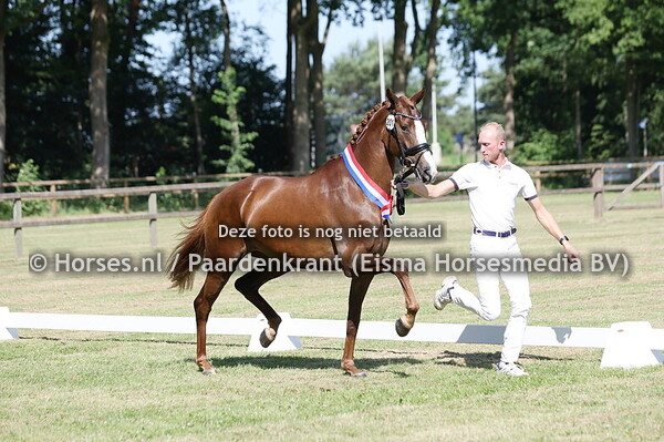 21-06-25 CK Jong KWPN Ermelo