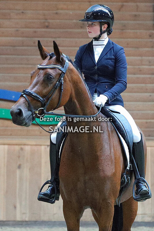 PV Midland Dressuur 08-10-2023 Paarden M