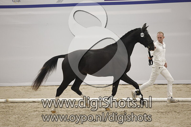 Pardoezz vd Waalsehoeve v. Jameson RS2 - 420