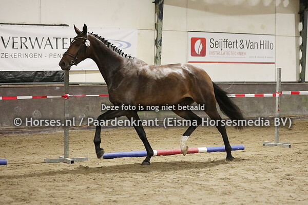 103 Sylvesta v. Scandreo O x Davesta van Weltevreden v. Florencio)