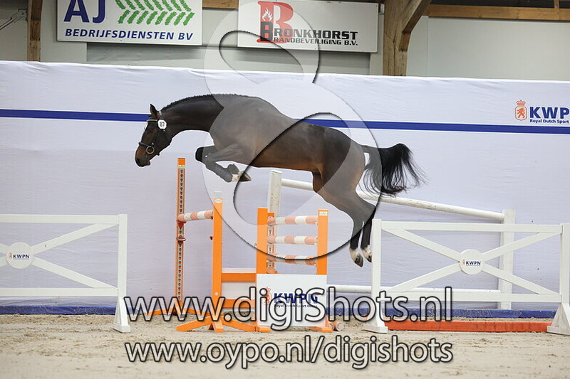 Tennesee Turfhorst VDL