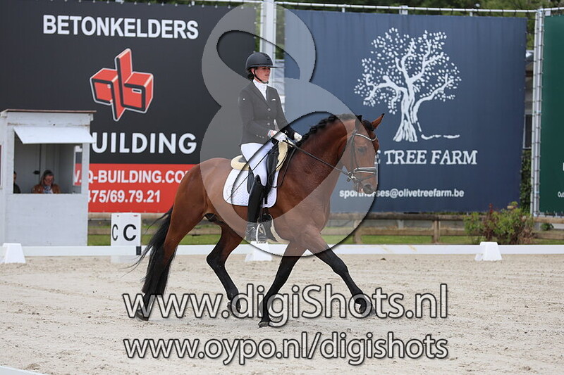 Tap Dancer van het Genelaar