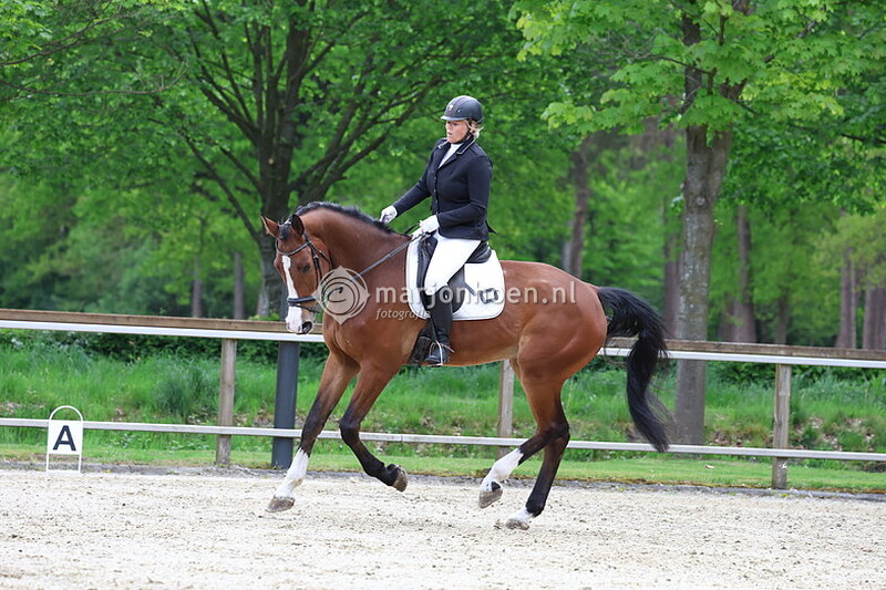 23_TKHDRESSUUR_BTMZZL-4MEI2025