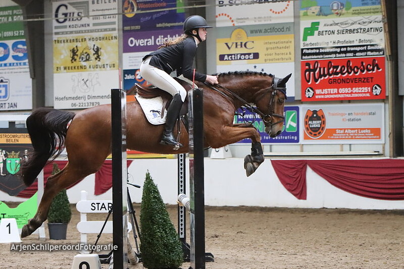 Indoor Hartje Drenthe Pony's 07-01-2023 90cm