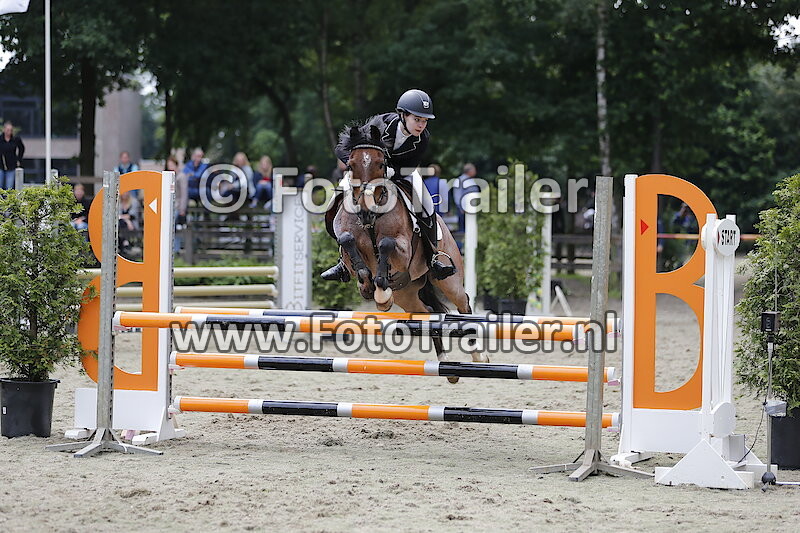 Demi Kattenpoel Oude Heerin