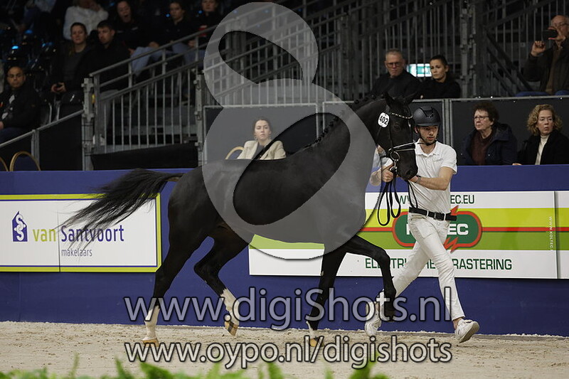 Rhodos Ro v. Jameson Rs2 - 402