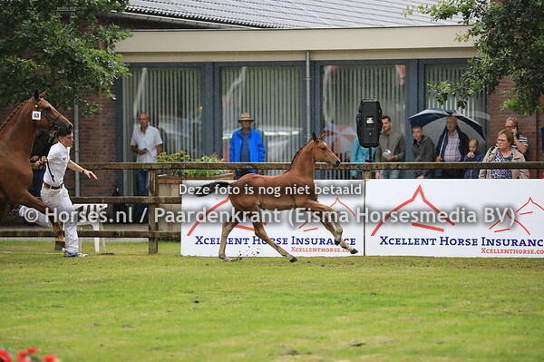 53 Olivia S v Henkie