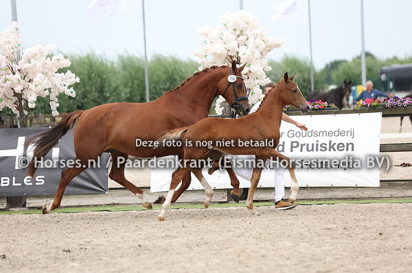 75 Van Oranje Willem (One Million x Paulina v. Kjento)