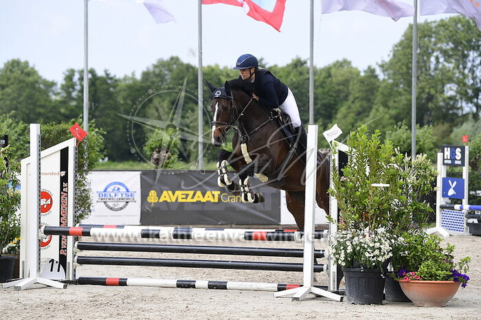 Kelly Schipper - Oriental Star