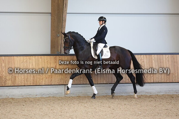 34 Spectre (Hermes x Vivaldi)