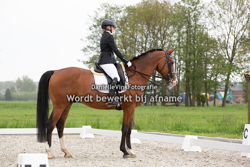 Michelle van der Poel - Baldur