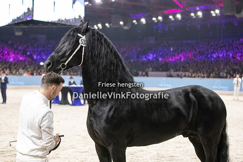 Hengstenkeuring 2024 Jorke 532