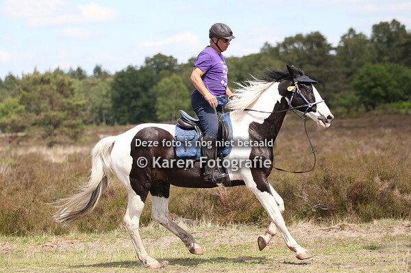 Eper Paardenvierdaagse 2022 Donderdag