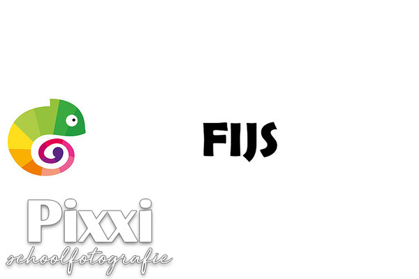 Fijs