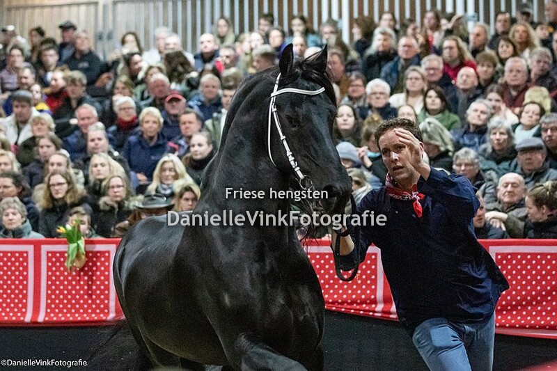 Hengstenshow Lunteren 25-02-2023 Tjebbe 500
